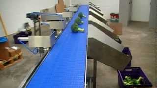 Broccoli Grader