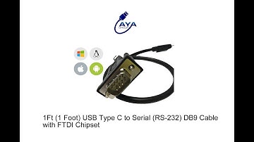 1Ft (1 Foot) USB Type C to Serial (RS-232) DB9 Cable with FTDI Chipset