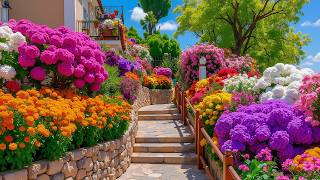 You Won't Believe These Gardens Are Real! 🏡 The Most Diverse and Vibrant Gardens You'll Ever See!