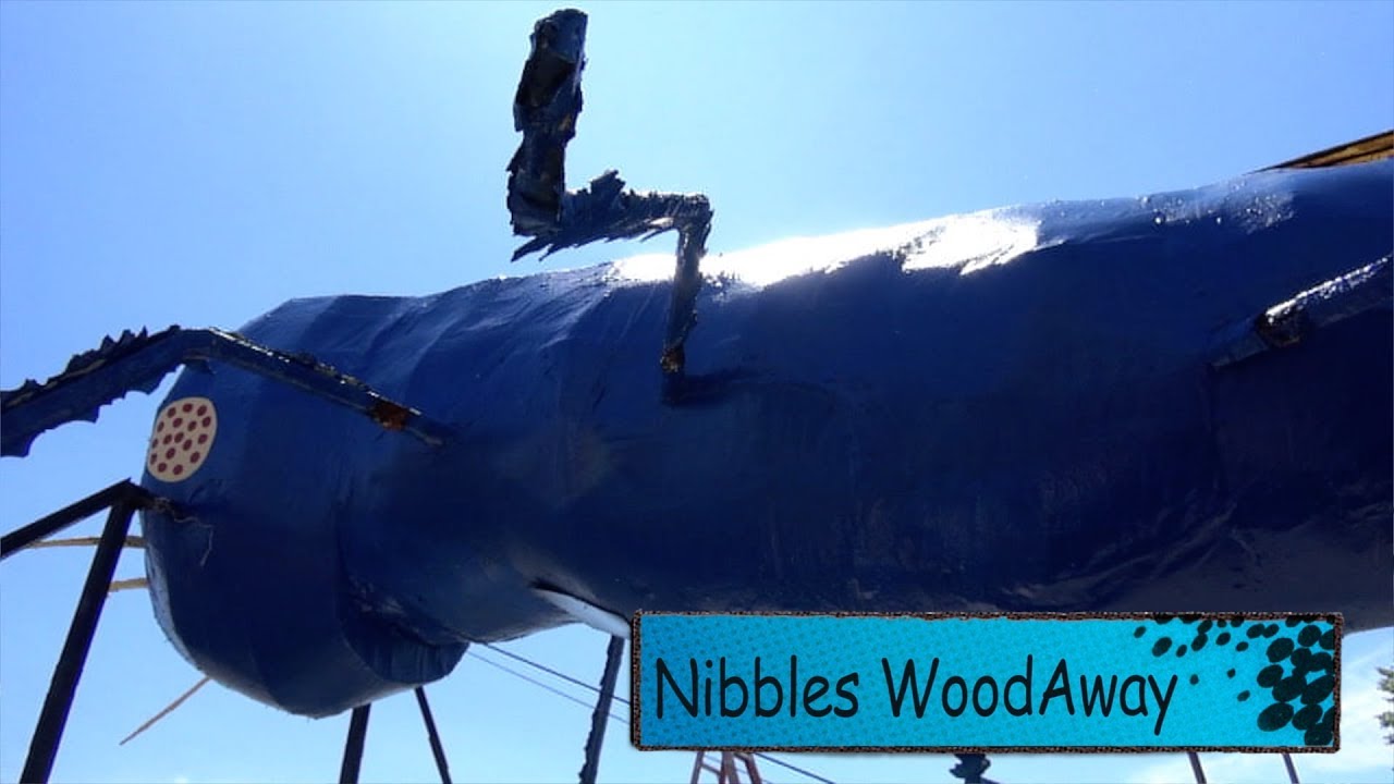 A New Look For Nibbles WoodAway? // Ben's Brain YouTube