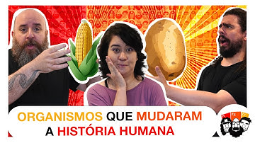 Quais ALIMENTOS SALVARAM a EUROPA da fome?