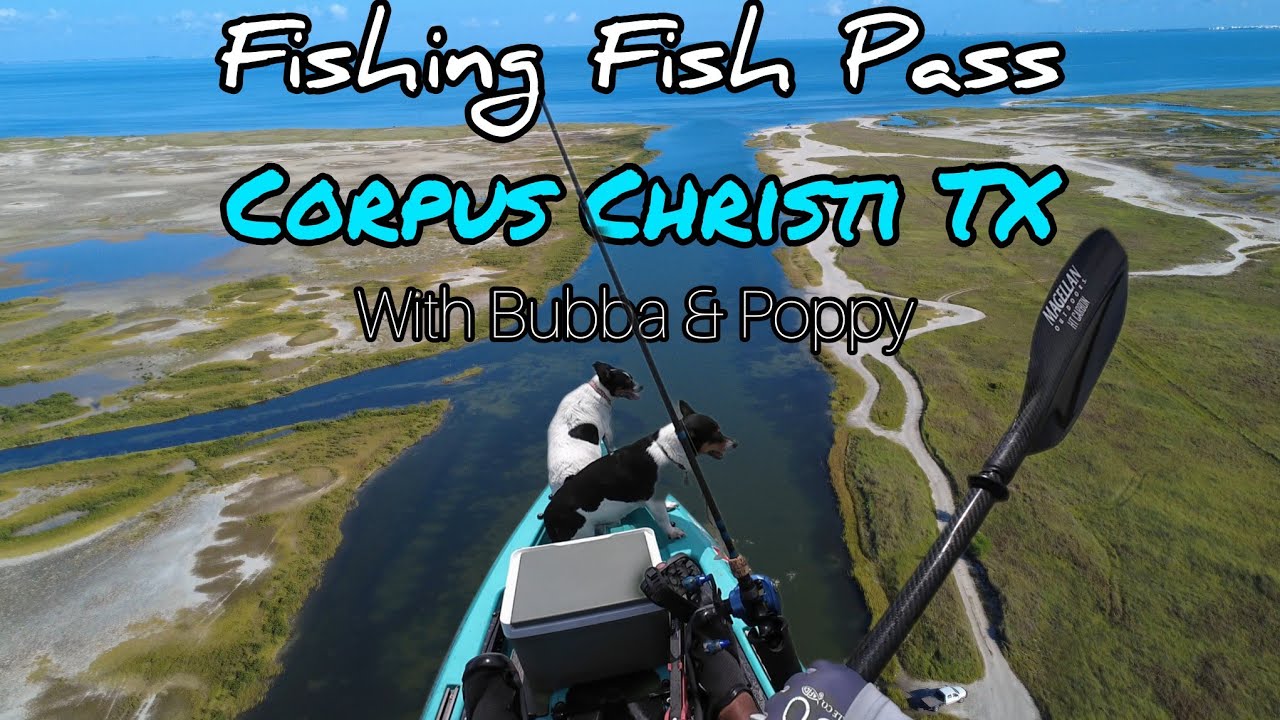 Fishing Fish Pass (Corpus Christi TX)