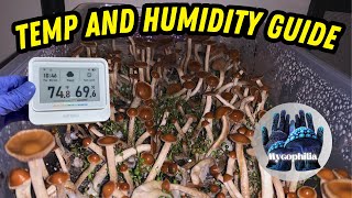 🍄 Temp, Humidity, and Pinning 💜: How to MAXIMIZE Flush! Plus INKBIRD Product Review!
