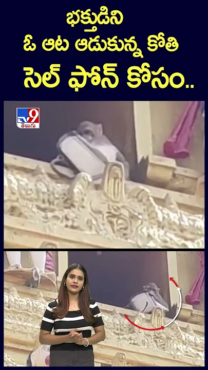భక్తుడిని ఓ ఆట ఆడుకున్న కోతిసెల్ ఫోన్ కోసం..  - TV9