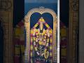 #balaji #tirumala #tirupati #birmingham #blessings #birthday #tirumalatirupati #tirupatibalaji #lord