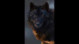 If You Feel Alone: WATCH THIS (Lone Wolf - The Original Motivational Audios)