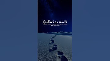 قال كلا إن معى ربي سيهدين || سورة الشعراء || القارئ: اسلام صبحي