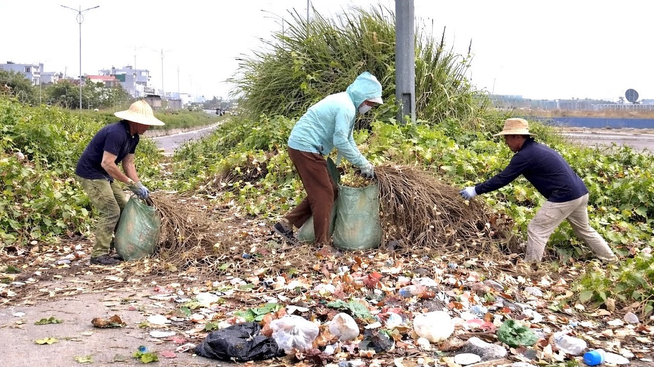 Тротуар под мостом завален мусором и сорняками — Мы его очистили