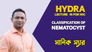 Hydra Lecture 05,,,,Clification Of Nematocyst