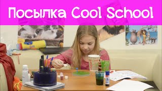 Посылка cool school, как сделать лизуна, эмблема из лизуна для supergirl Посылка cool school, как сделать лизуна, эмблема из лизуна для supergirl