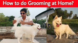 How to be professional for grooming your dog at home?