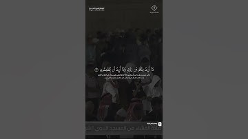 مقتطف من تلاوة فضيلة الشيخ #حسين_آل_الشيخ من صلاة العشاء 16 جمادى الآخرة 1447هـ