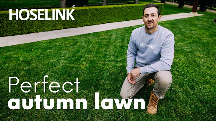 Autumn Lawn Care Fundamentals with Horticulturist ...