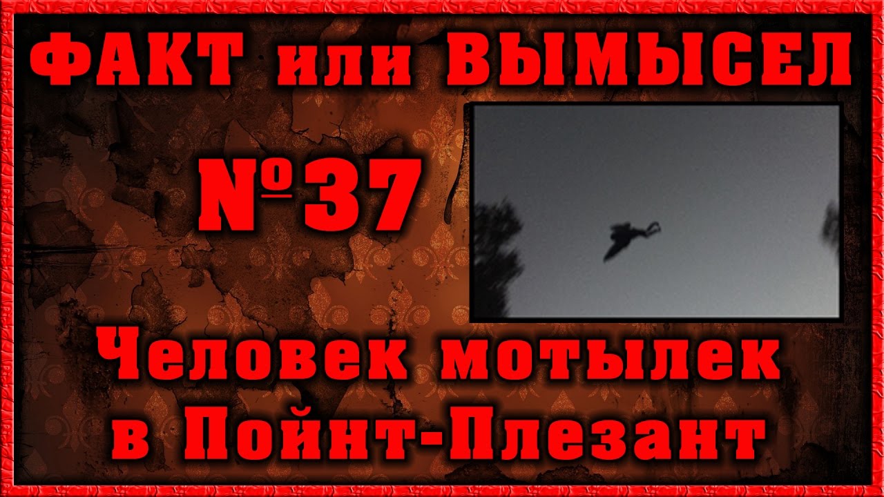 Человек мотылек в Пойнт-Плезант