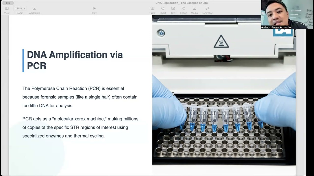 D1 1 DNA Replication