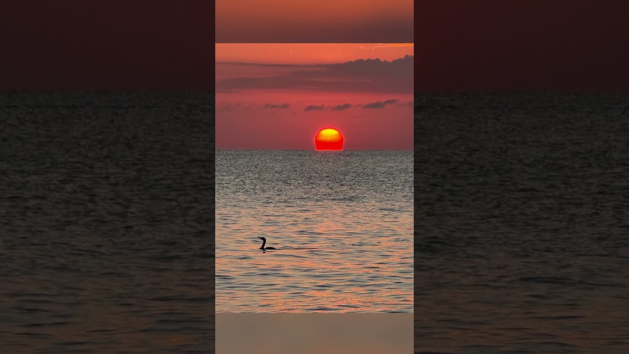 Trip to Naples & Marco Island 