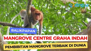 Mangrove Centre Graha Indah, Ekowisata Terbaik di Balikpapan