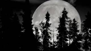 Cerberum : Aquella Luna Infernal