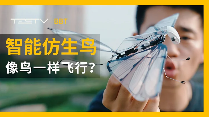 花800塊買的「遙控仿生鳥」不如國產100塊買的出頭鳥？【BB Time第291期】 - 天天要聞