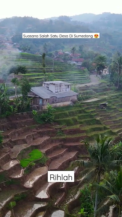 STORY WA KEREN 30 DETIK | RIHLAH SUASANA PEDESAAN DI CIBUGEL SUMEDANG #shorts