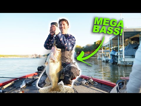 Am I Dreaming?? -- Hooked Up To a True MONSTER Bass!
