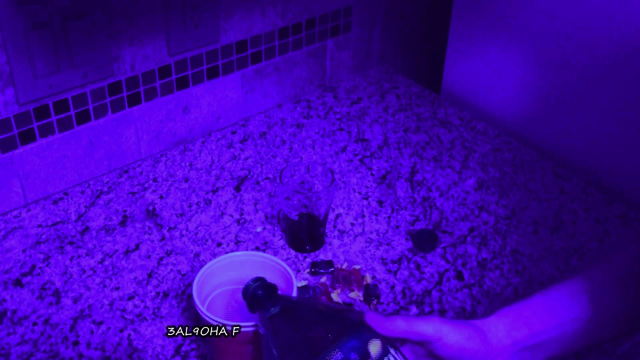 Diib - Syrup  (Official Audio) | Freestyle