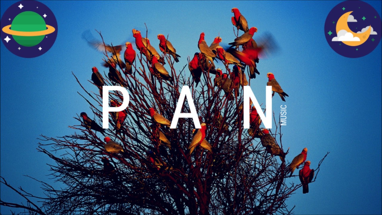 THE NEW GENRE: SHINY 