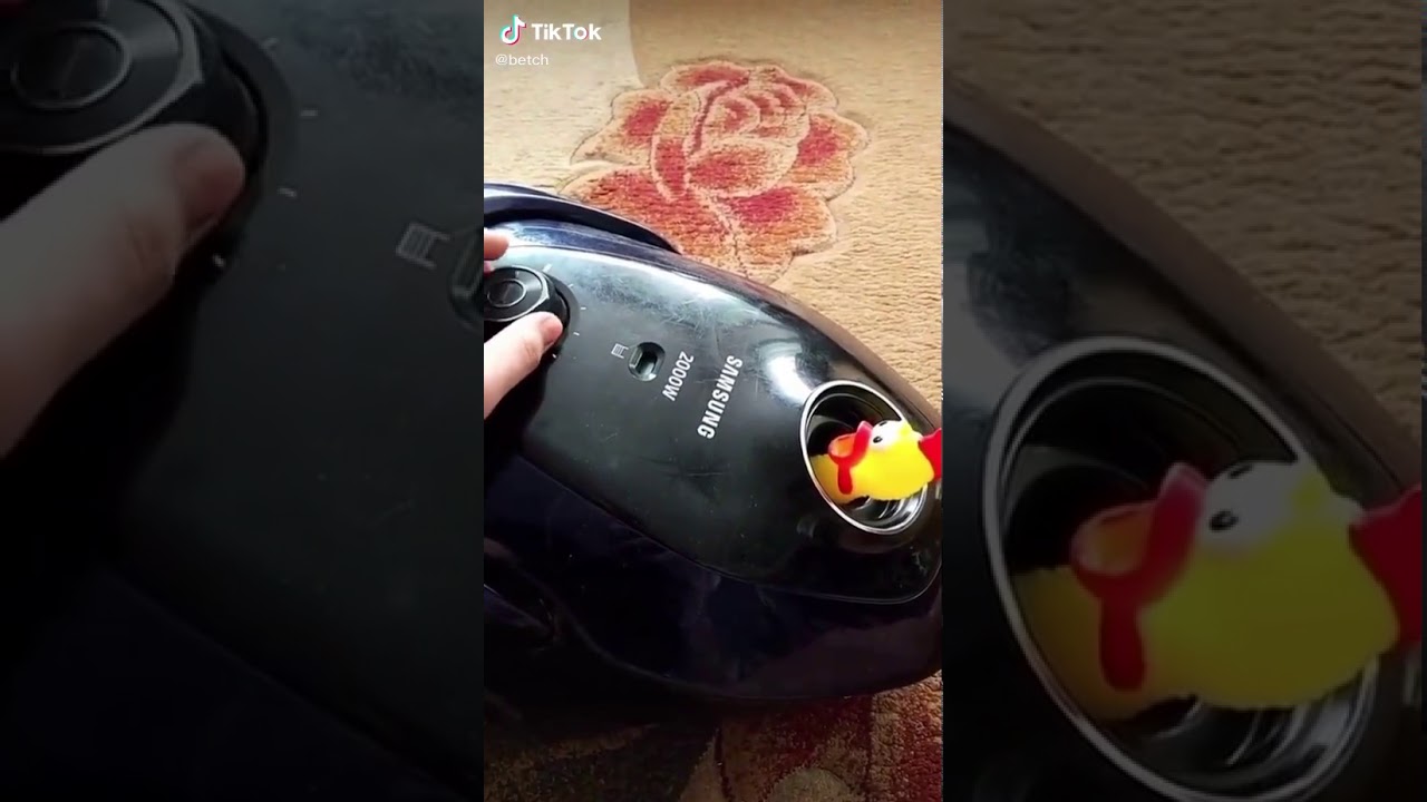 Chicken Vacuum YouTube