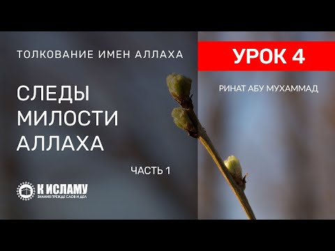 4. Следы милости Всевышнего Аллаха. Часть 1