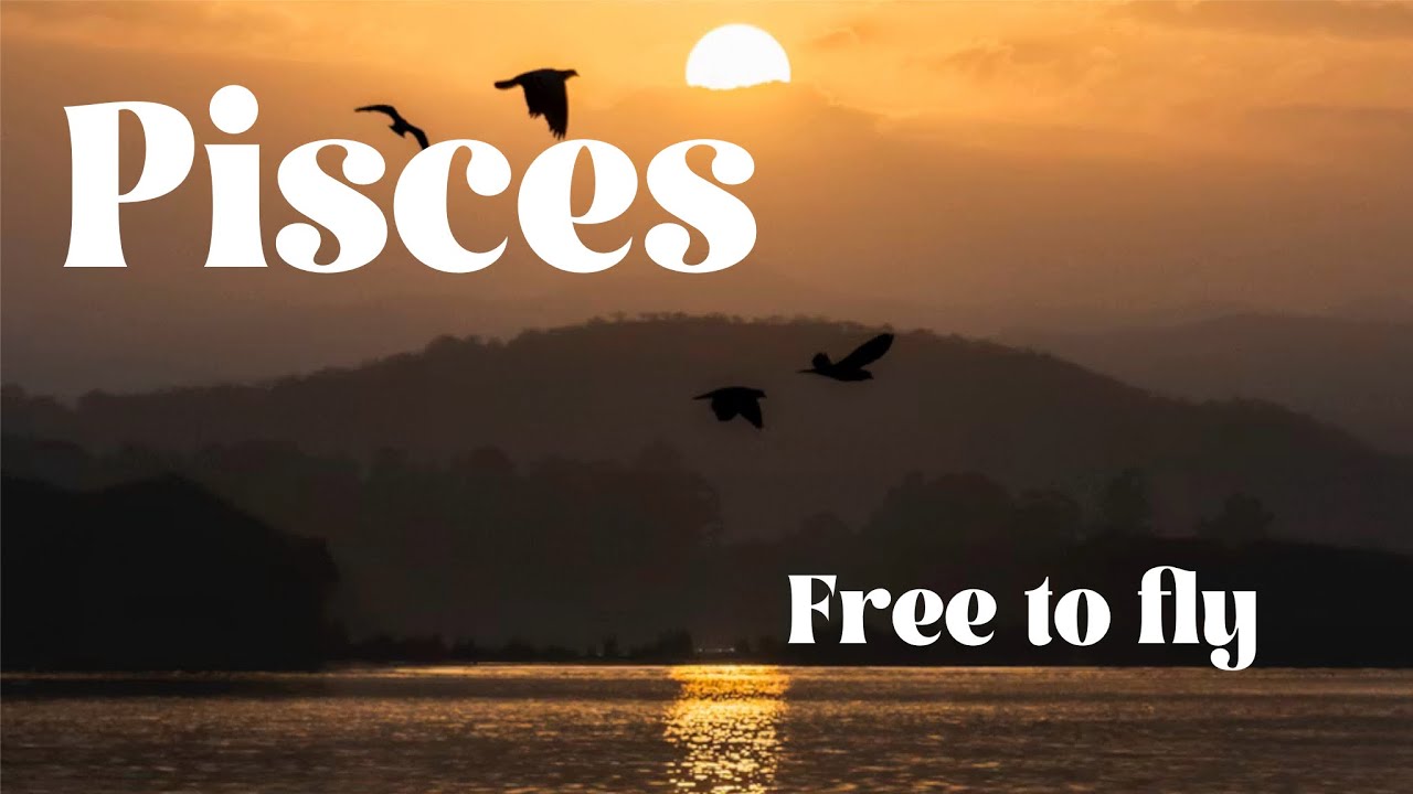 Pisces 💖💖 a major relationship coming in 💖💖