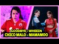 REAGINDO A CHICO MALO e GOODBYE | MAMAMOO+ e WHEEIN