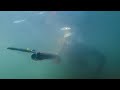 ΕΠΙΤΕΛΟΥΣ!!!🤩ΒΡΗΚΑ τη ΦΩΛΙΑ με τα ΛΑΒΡΑΚΙΑ |Spearfishing Life 🇬🇷