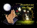 🌙✨Спокойной ночи,Сладких снов!!🌙✨  Красивое анимационное пожелание🌙✨