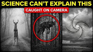 Unexpected Animal Behaviors You Never See Coming