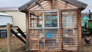 We Got a Greenhouse! | Our 'new' 8x8 Greenhouse by Wild Ones Homestead 169 views 3 weeks ago 3 minutes, 52 seconds