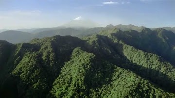 تلاوة خاشعة لسورتي النبأ والنازعات ناصر القطامى HD