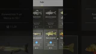 Сдаем улов на Лосином #nesterletoplay #carpfishing #fishing #game #рыбалканафидер #рыбалка #рыба