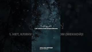 Красивое Чтение Сура Аль-Баляд {Иса Лолохоев تقبله الله}