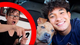 Surprising My Mom With A Dog! (emotional)