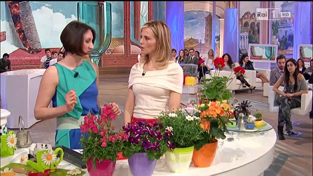 Pin Su Lucia Cuffaro