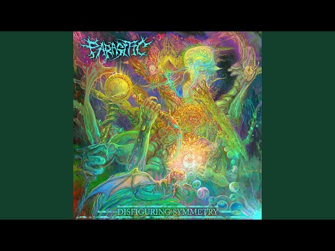 Disfiguring Symmetry artwork