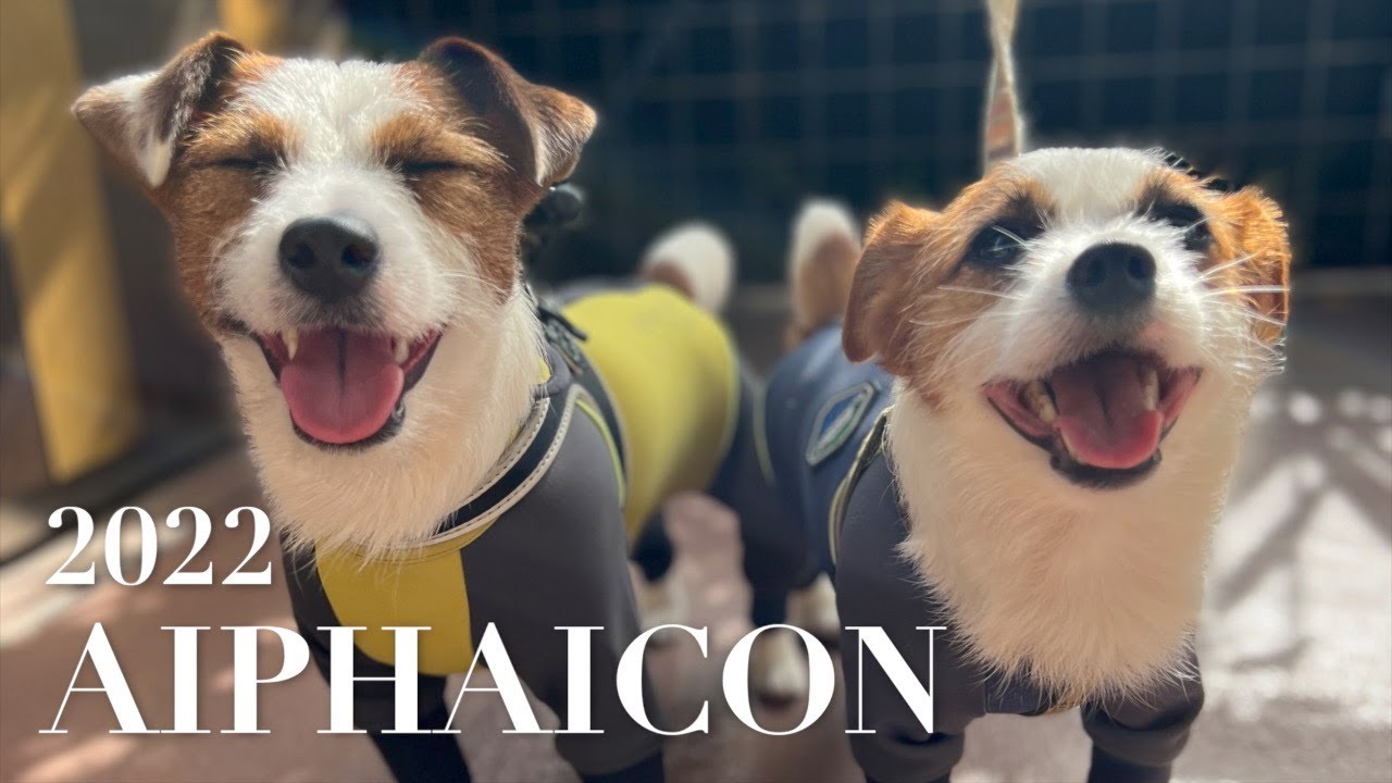 シェリーズ　CHERIES スノーウェア　プードル　アルファアイコン CHERIES(シェリーズ)ベイス店