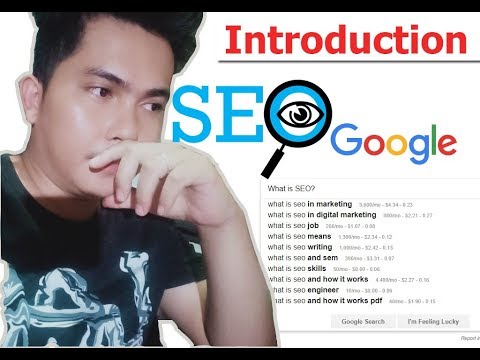 Introduction - SEO Tutorial for Beginners - TagLisaya Language