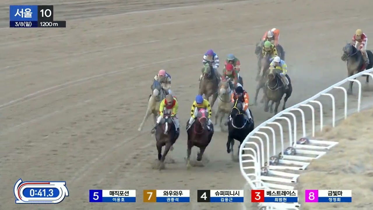 매직포션.1등급.1200.우승