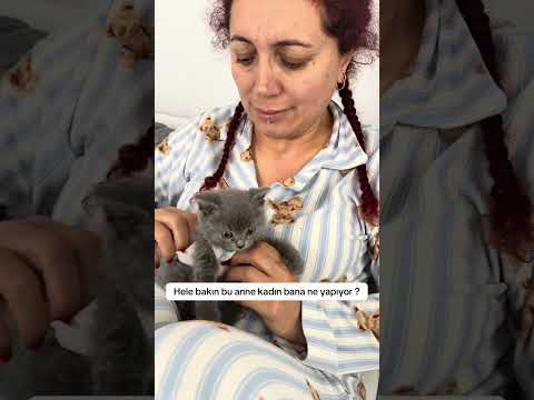 Ne olur anneme diyin beni vermesin 😔 #kedi #cat #youtubelailhamverenkadınlar