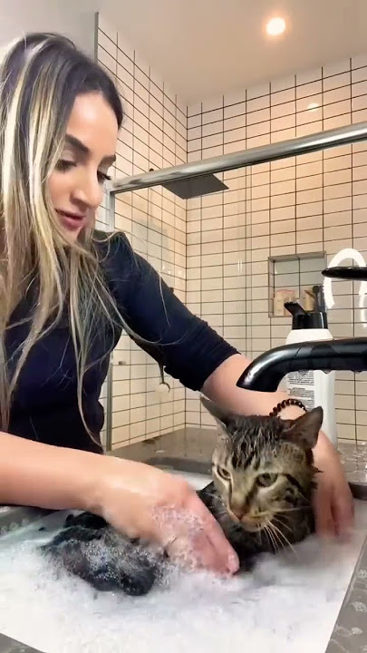 MY CAT LOVES TAKING A BUBBLE BATH #shorts #shorts30
