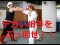 【自分より大きい相手と組手をするコツ】ハヤテ流格闘技