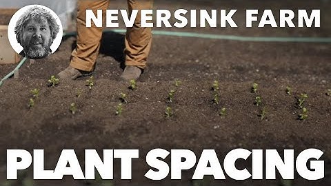 Gardening Basics - Plant Spacing