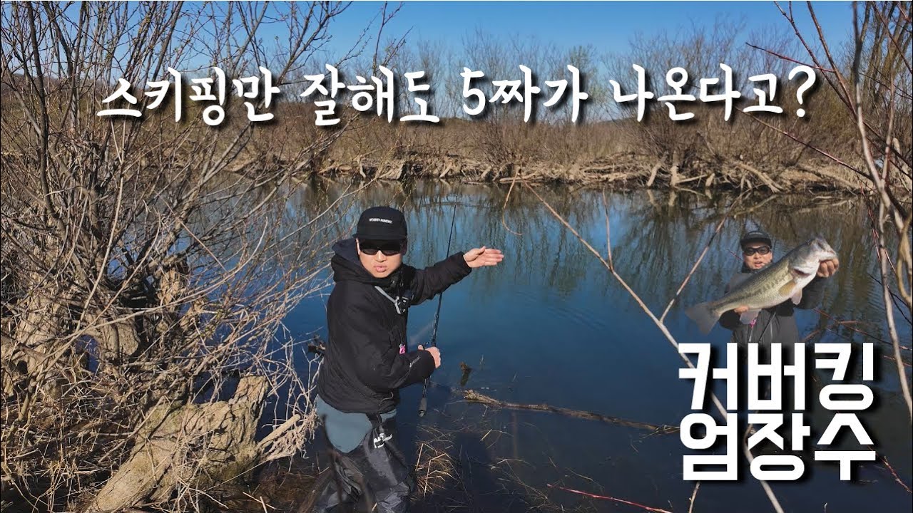 우리도 배워봅시다. 배스낚시 스키핑!?..(feat.엄장수) #배스낚시 #피쉬맥스 #잇세이
