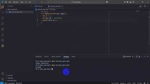 dart dasturlash tili birinchi dars @flutterdev